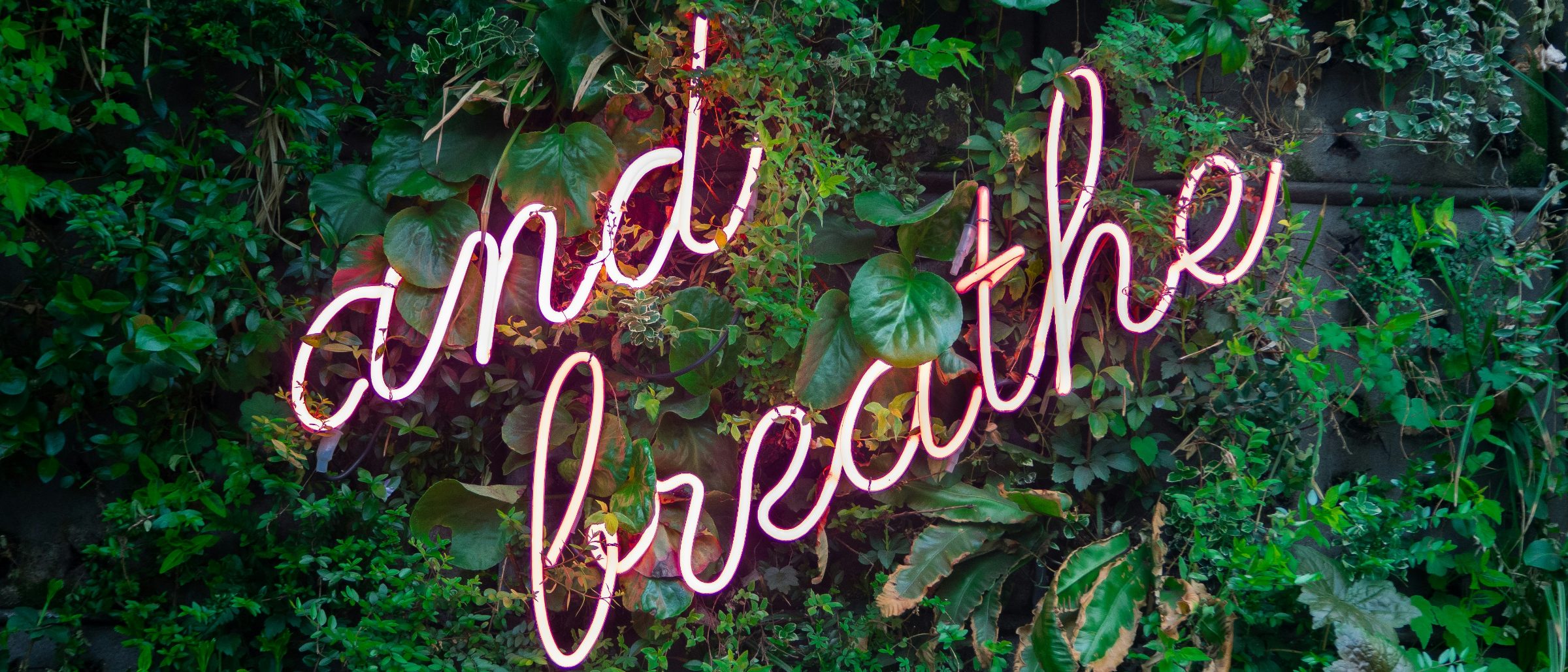 A neon sign reading 'and breathe' set into a wall of live plants